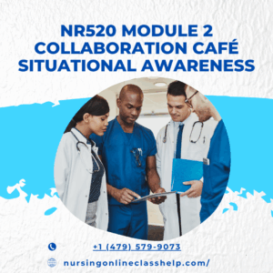 NR520 Module 2 Collaboration Café Situational Awareness
