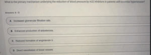 NR565 Week 4 Midterm Exam Sample Question 1